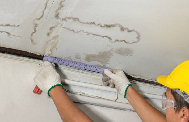 Reliable Structural Drying contractor in North Lawrence, OH by Water Damage Irwin